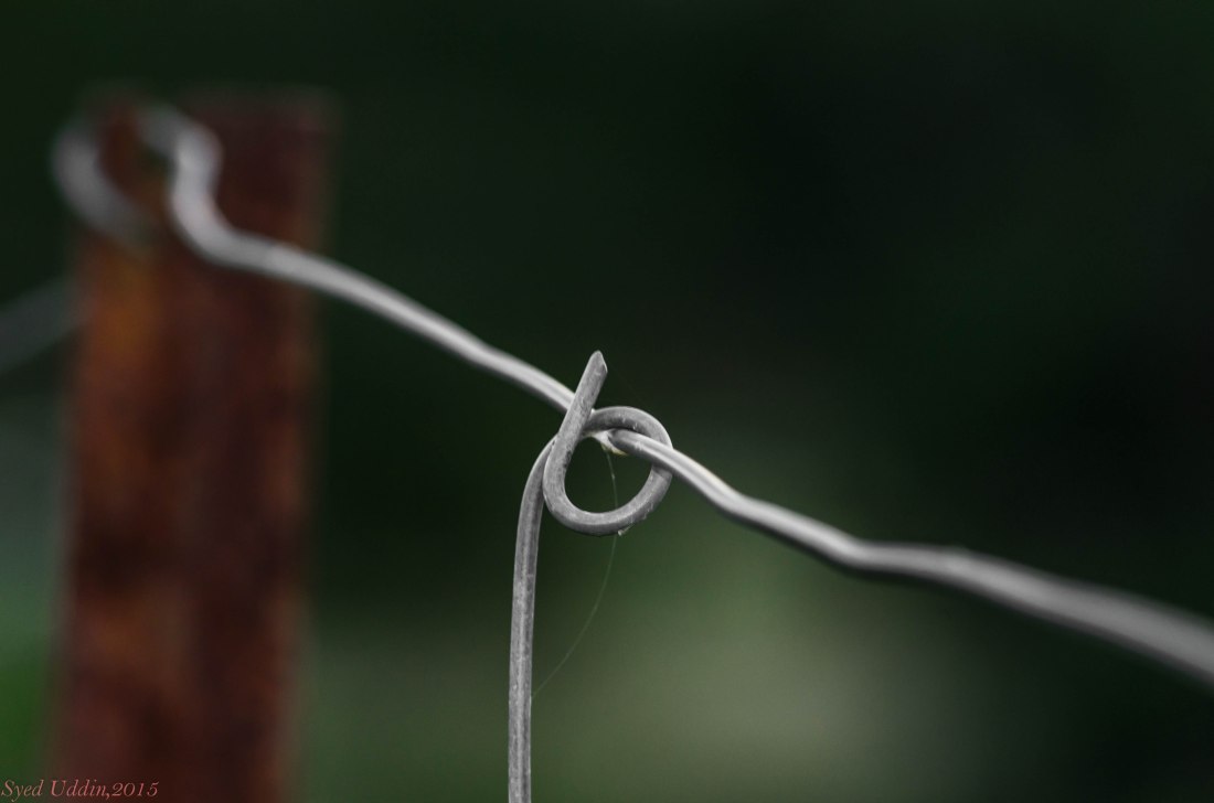 16453809171_b29f4d24b6_o